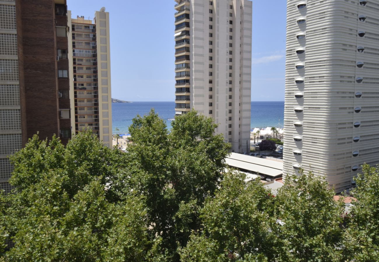 Appartement in Benidorm - PRINCIPADO MEDITERRANEO (1 SCHLAAFKAMMER)