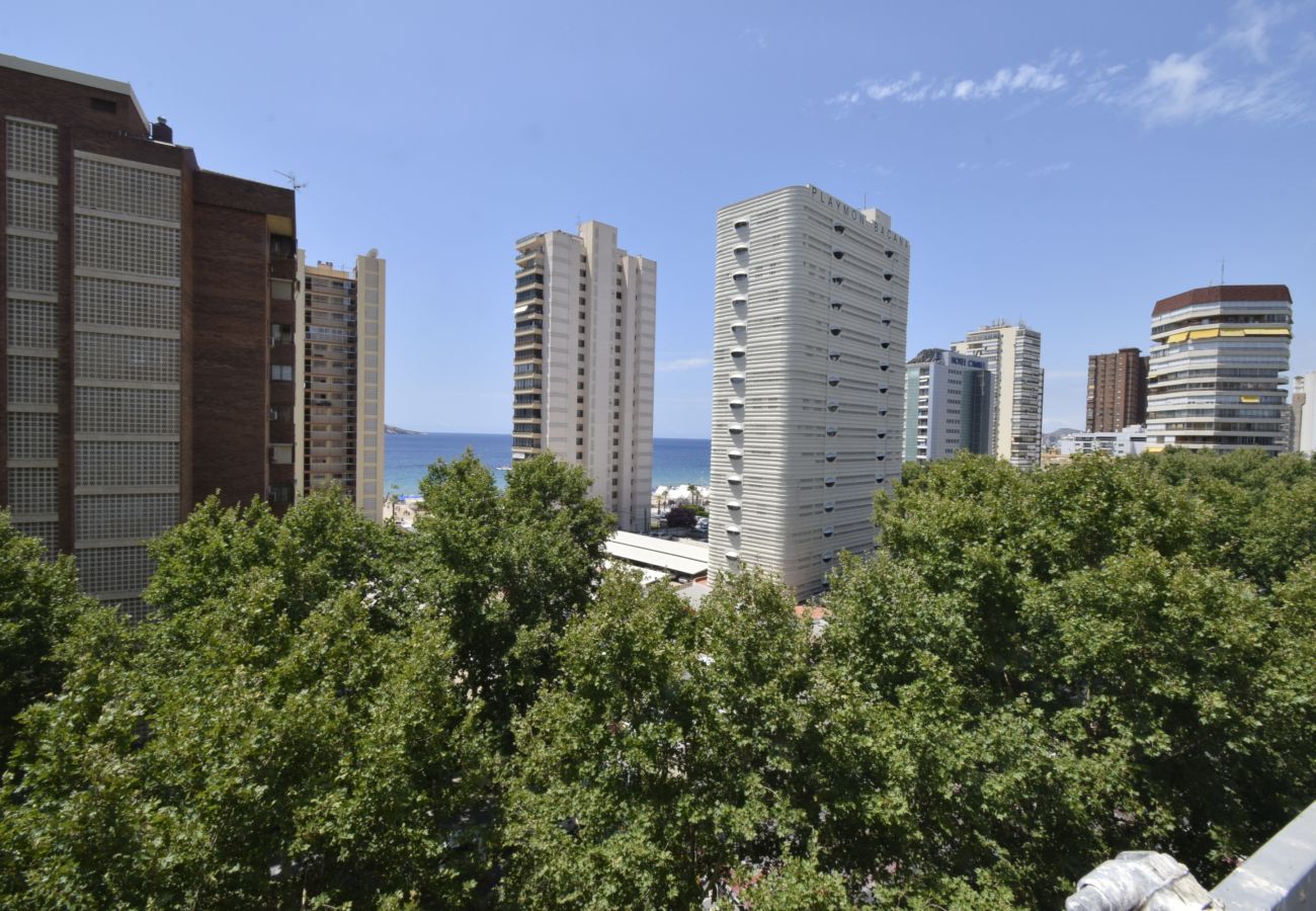 Appartement in Benidorm - PRINCIPADO MEDITERRANEO (1 SCHLAAFKAMMER)