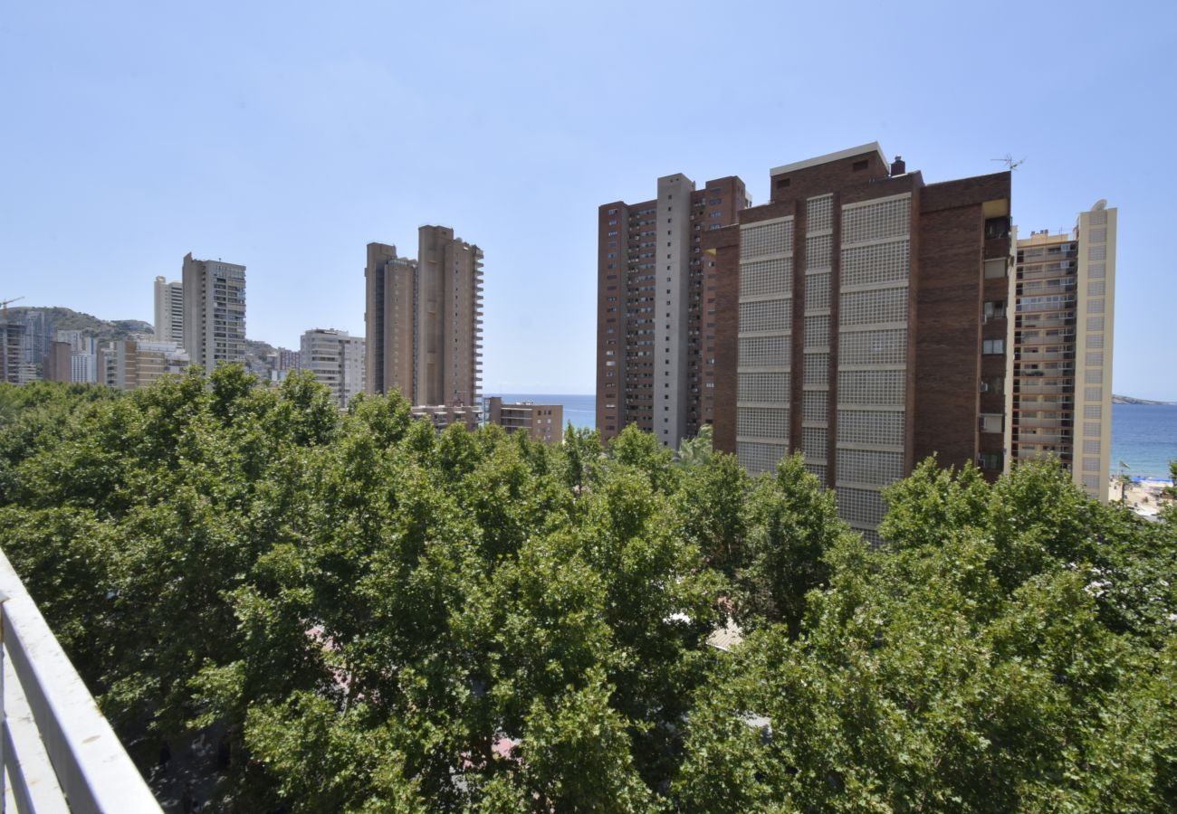 Appartement in Benidorm - PRINCIPADO MEDITERRANEO (1 SCHLAAFKAMMER)