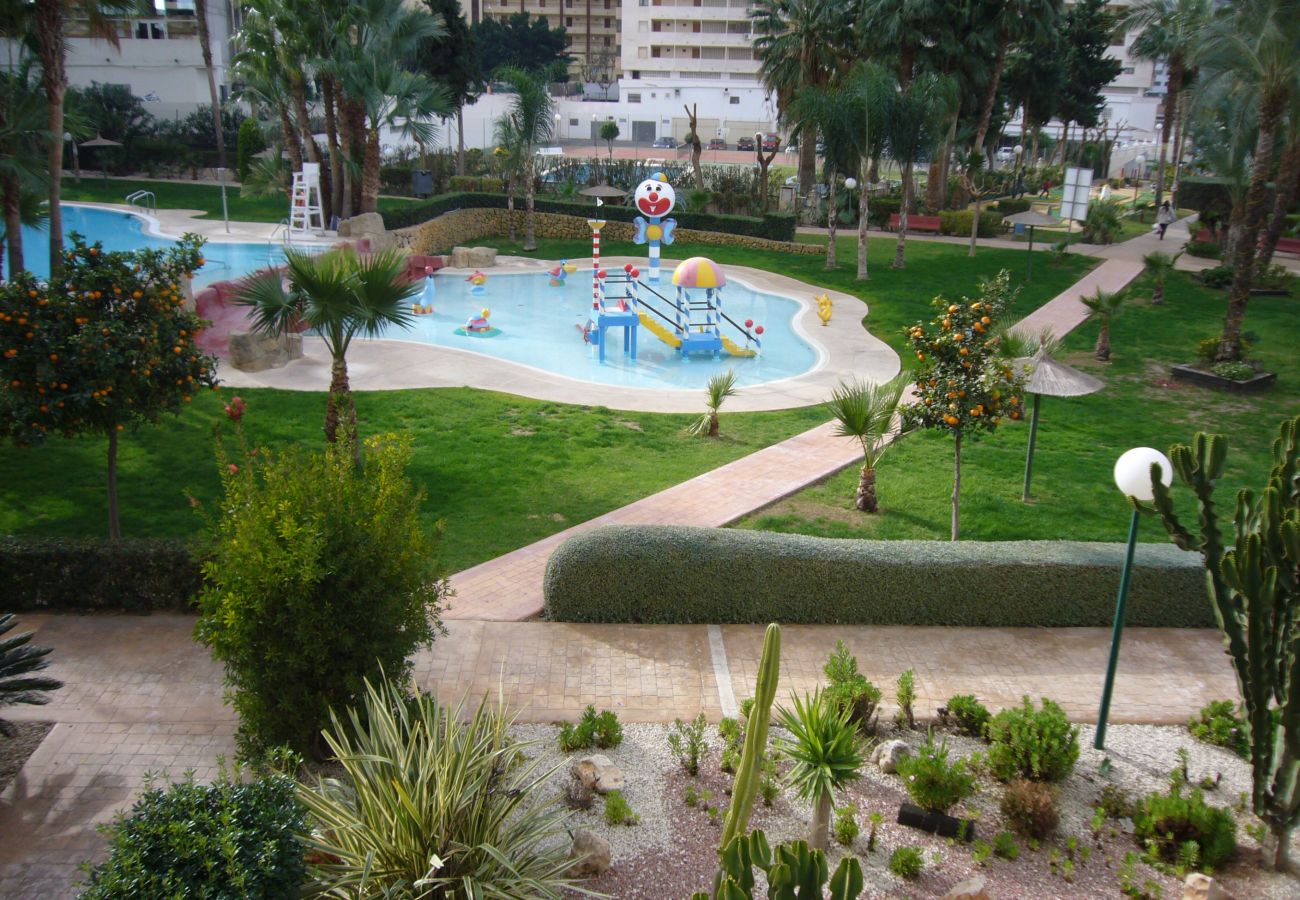 Appartement in Benidorm - GEMELOS 22 (1 SLAAPKAMER)