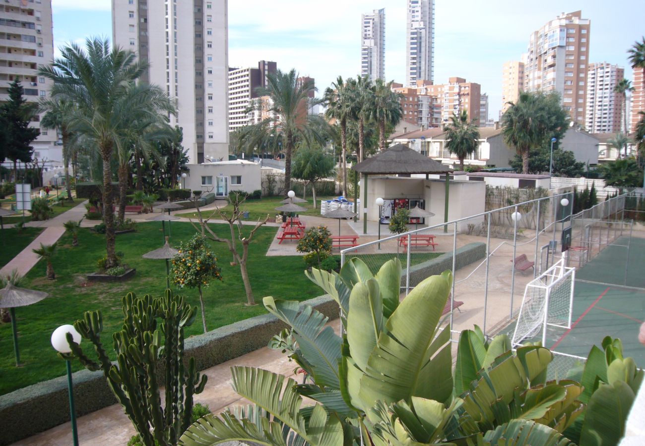 Appartement in Benidorm - GEMELOS 22 (1 SLAAPKAMER)