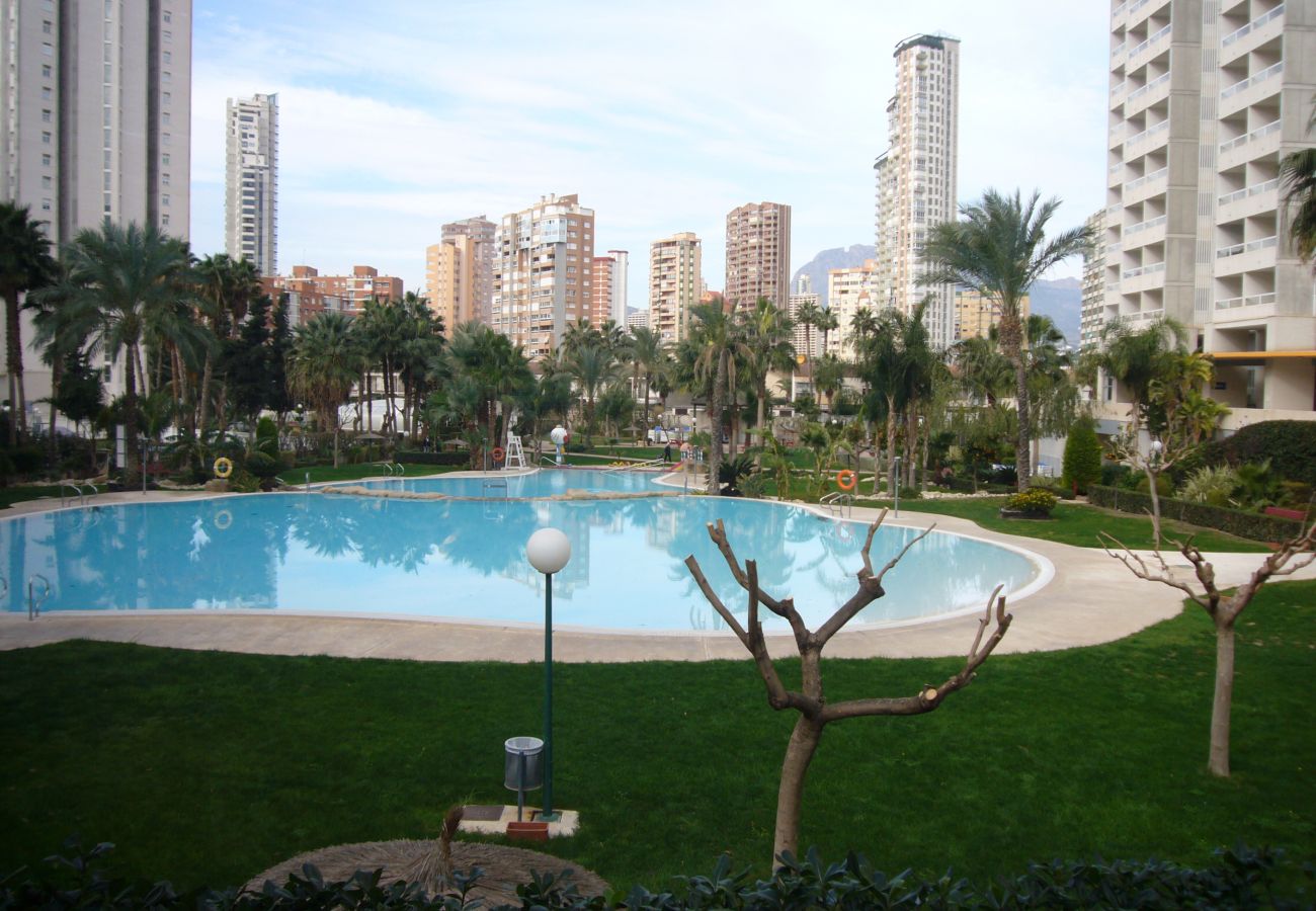 Appartement in Benidorm - GEMELOS 22 (1 SLAAPKAMER)