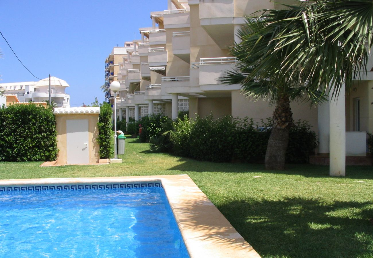 Appartement in Denia - A 50 metros de la playa de Las Marinas -El Faro