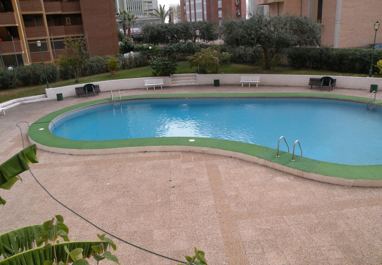 Appartement in Benidorm - KAROLA (1 SCHALAAFKAMMER) BENIDORM