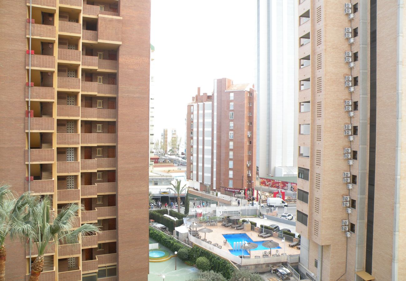 Appartement in Benidorm - KAROLA (1 SCHALAAFKAMMER) BENIDORM