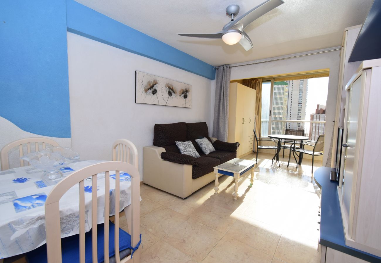 Appartement in Benidorm - KAROLA (1 SCHALAAFKAMMER) BENIDORM