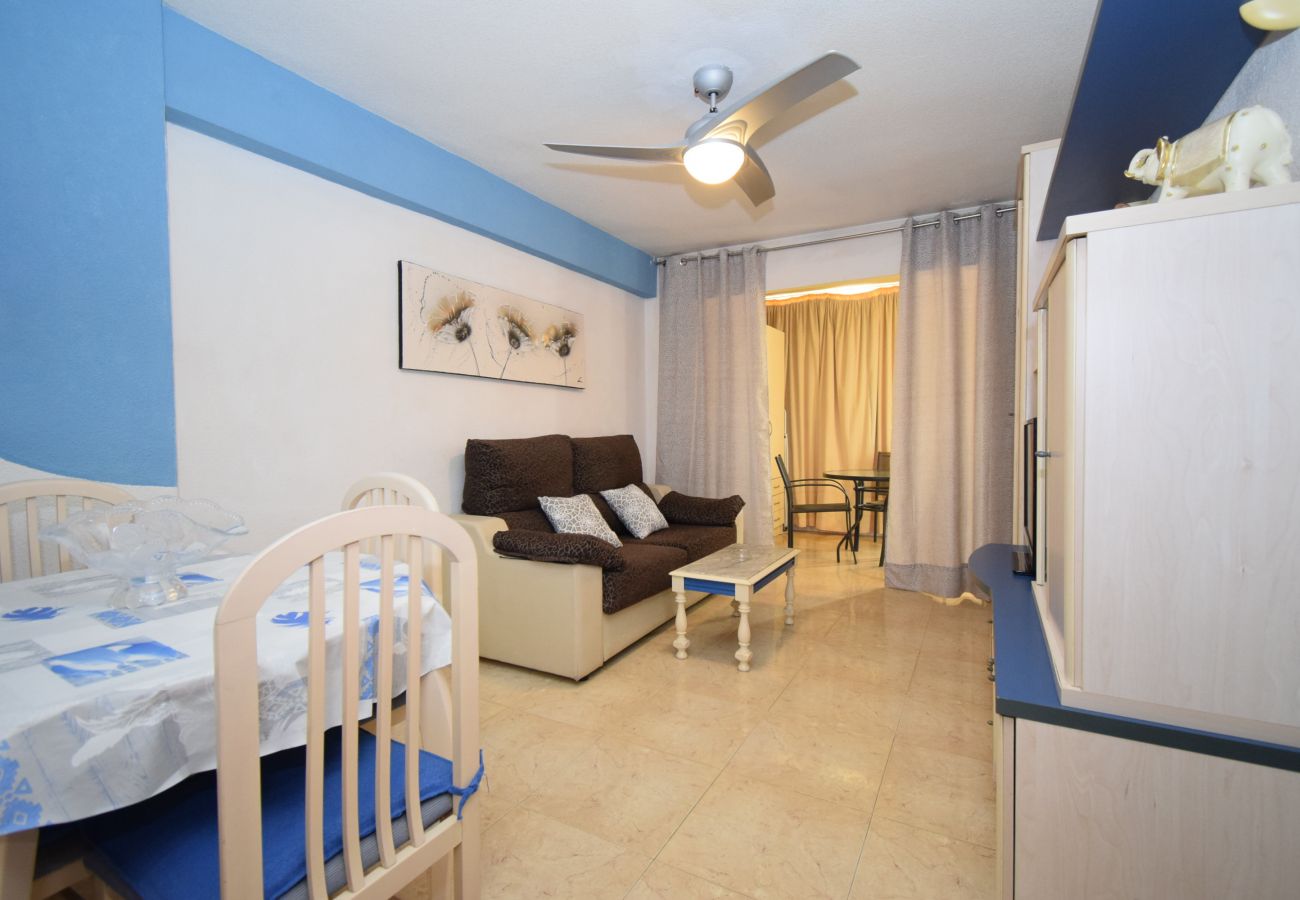 Appartement in Benidorm - KAROLA (1 SCHALAAFKAMMER) BENIDORM