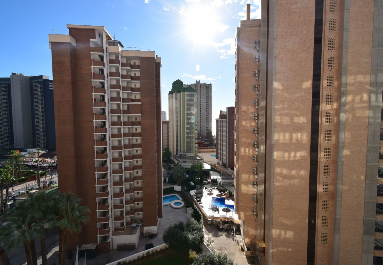 Appartement in Benidorm - KAROLA (1 SCHALAAFKAMMER) BENIDORM