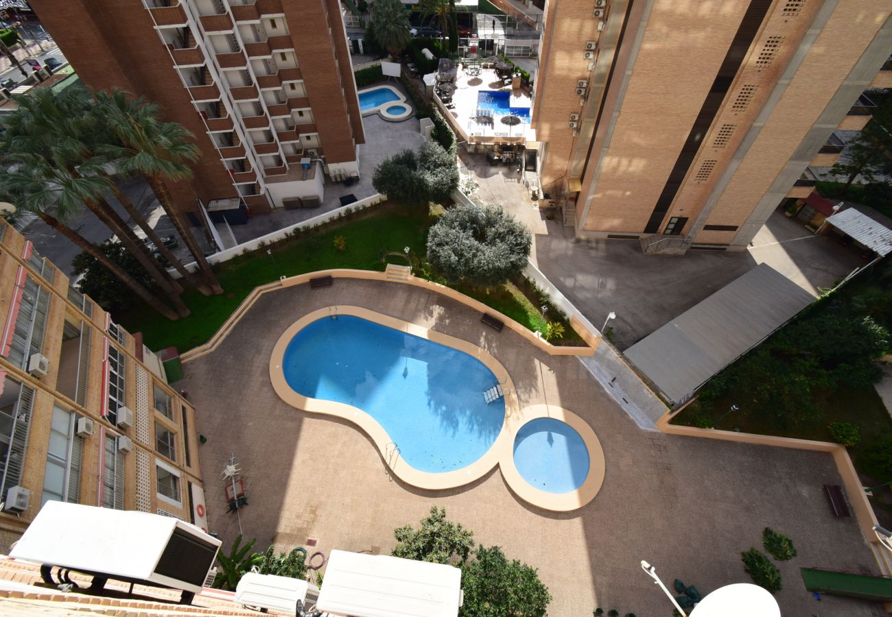 Appartement in Benidorm - KAROLA (1 SCHALAAFKAMMER) BENIDORM