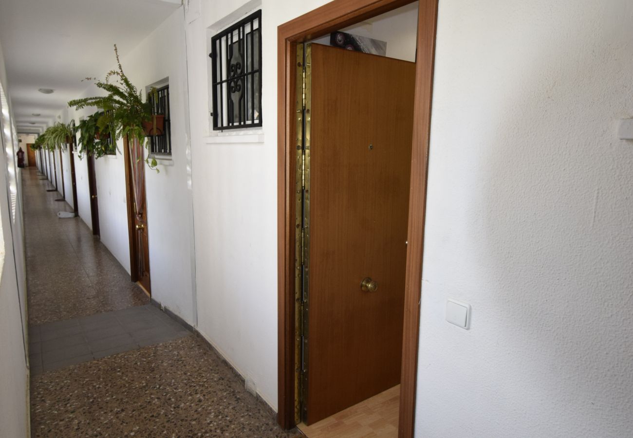 Appartement in Benidorm - COMERCIAL LEPANTO (1 SLAAPKAMER)