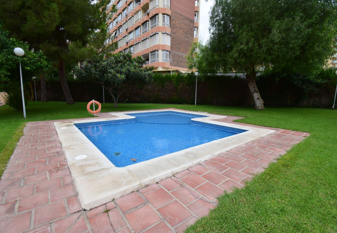 Appartement in Benidorm - GEMELOS 4 (2 SLAAPKAMERS)