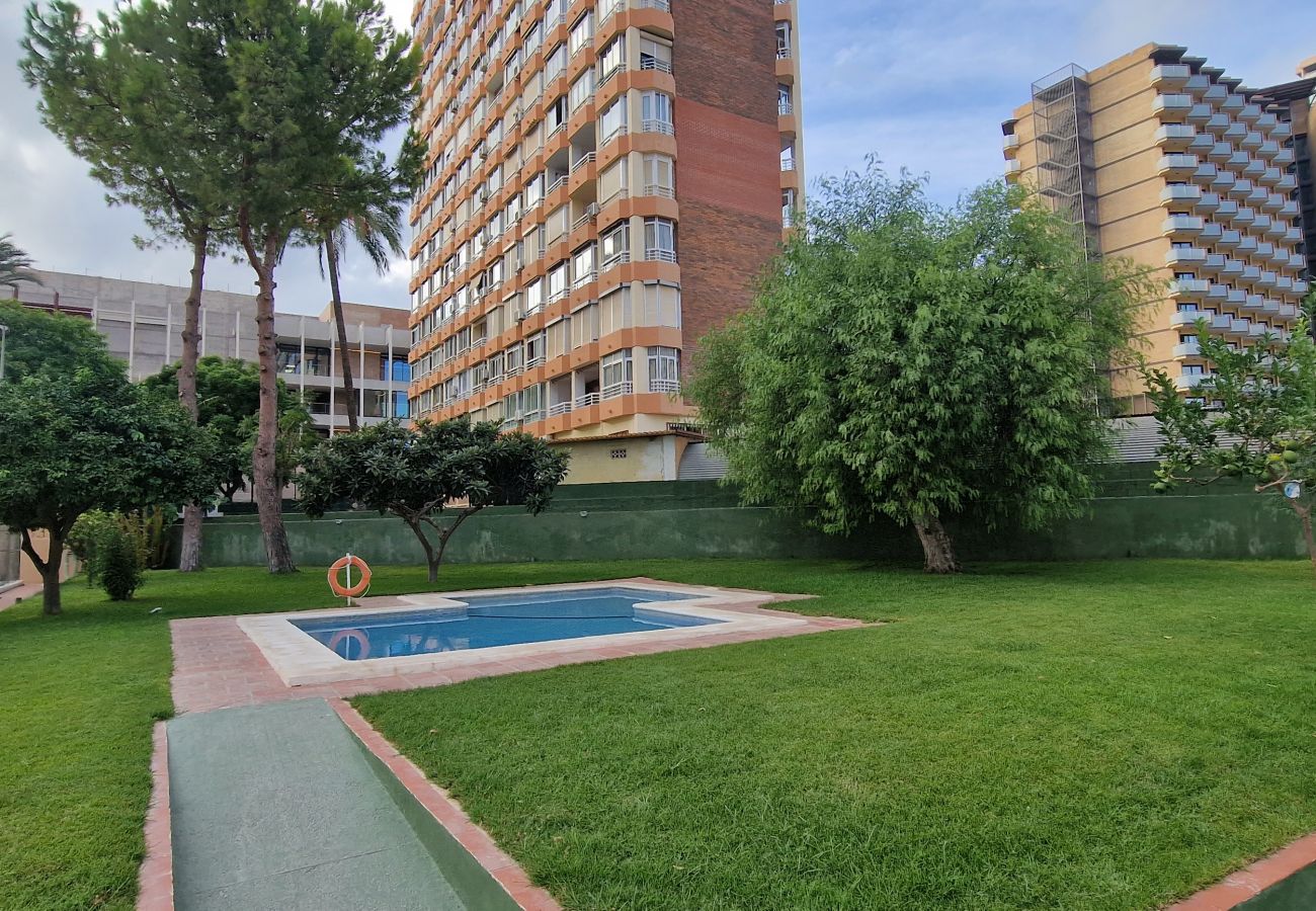 Appartement in Benidorm - GEMELOS 4 (2 SLAAPKAMERS)