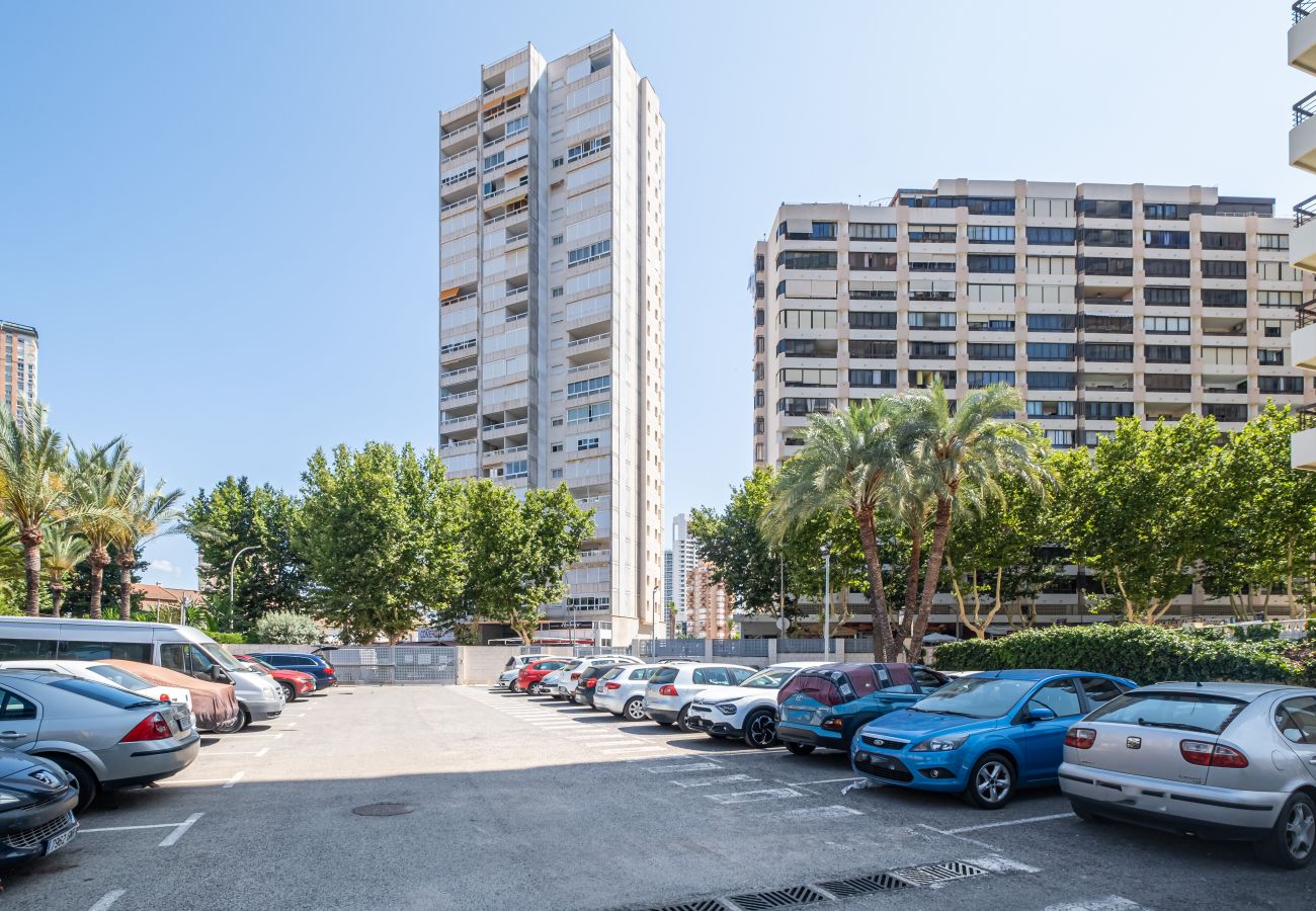 Studio in Benidorm - ACUARIUM 3 (STUDIO)