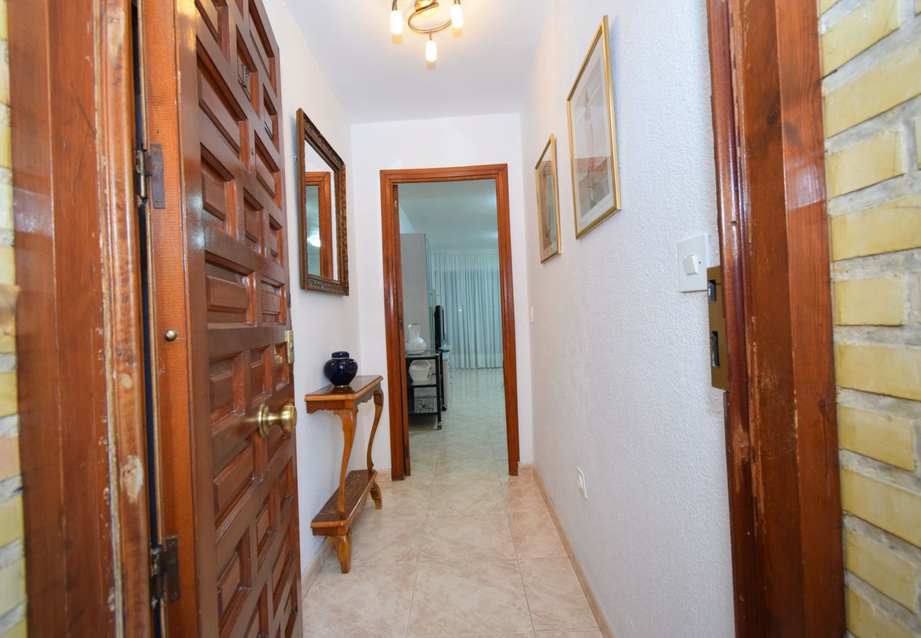 Appartement in Benidorm - LIDERSOL (2 SLAAPKAMER)