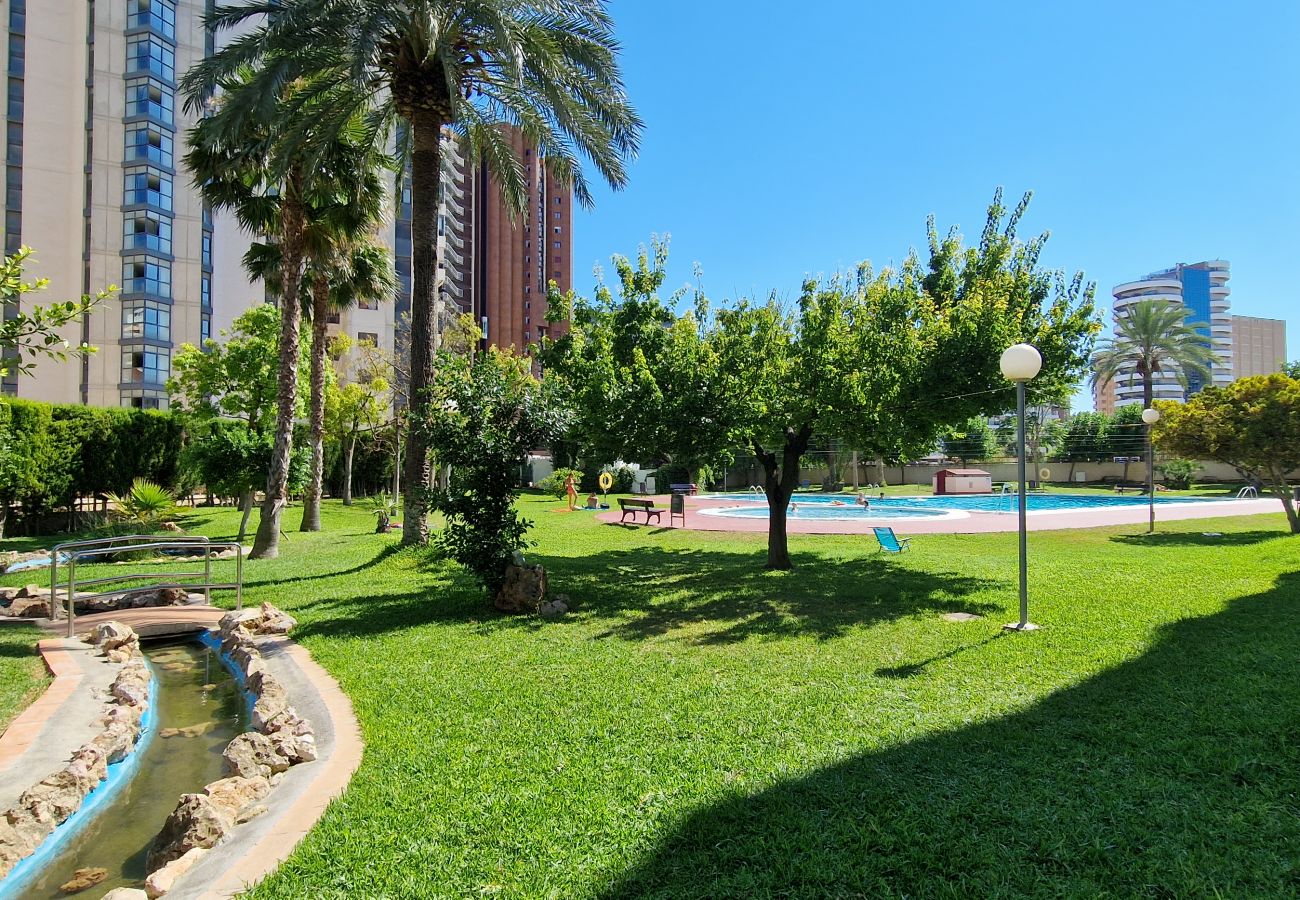 Appartement in Benidorm - LIDERSOL (2 SLAAPKAMER)