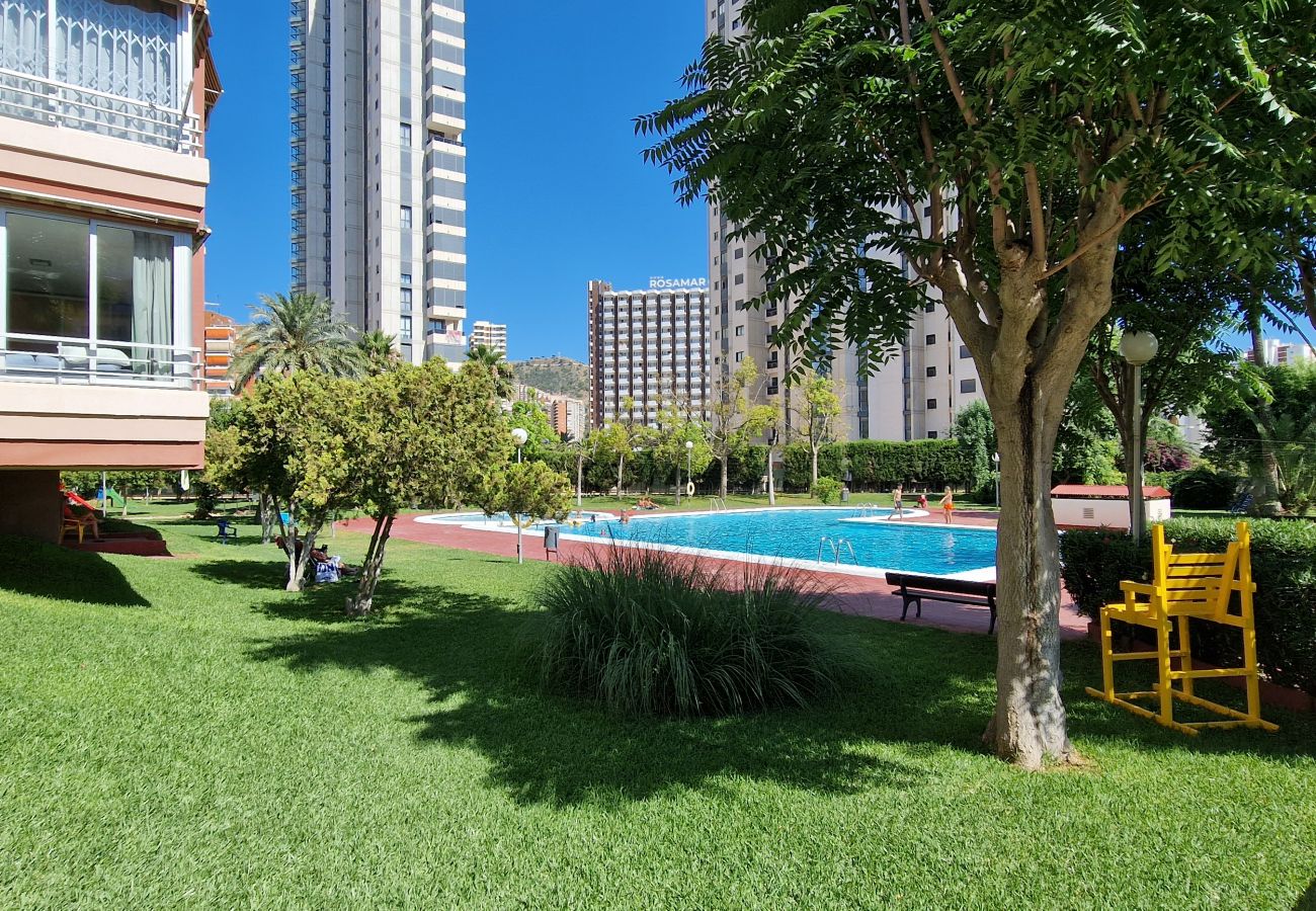 Appartement in Benidorm - LIDERSOL (2 SLAAPKAMER)