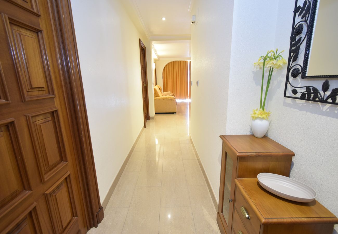 Appartement in Benidorm - MAR Y VENT - ZEEZICHT (3 SLAAPKAMER)