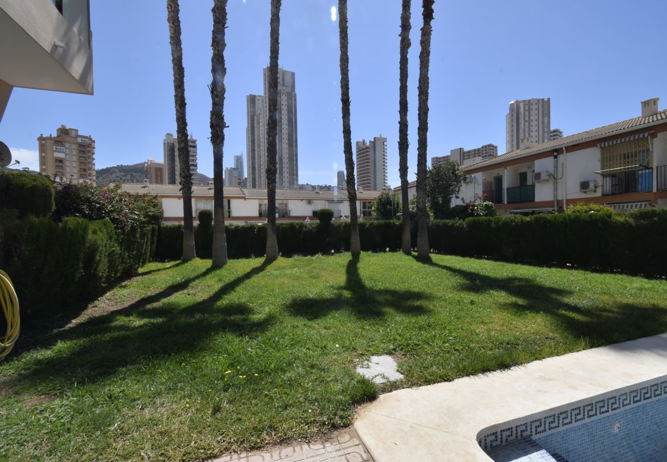 Appartement in Benidorm - MARISCAL 6 (1 SLAAPKAMER)