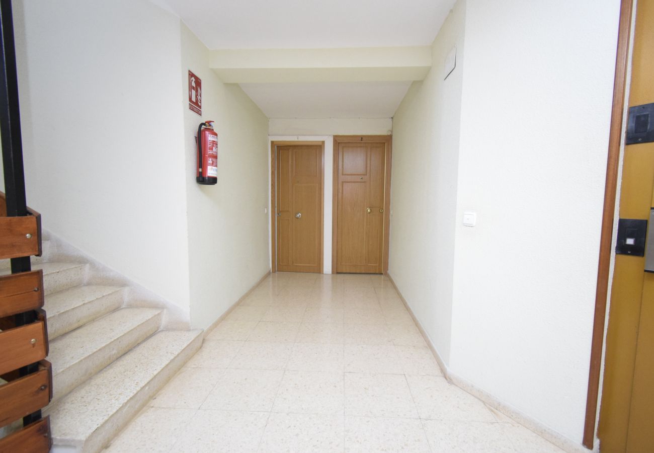 Appartement in Benidorm - TORRE SAN SEBASTIAN (1 SLAAPKAMER)