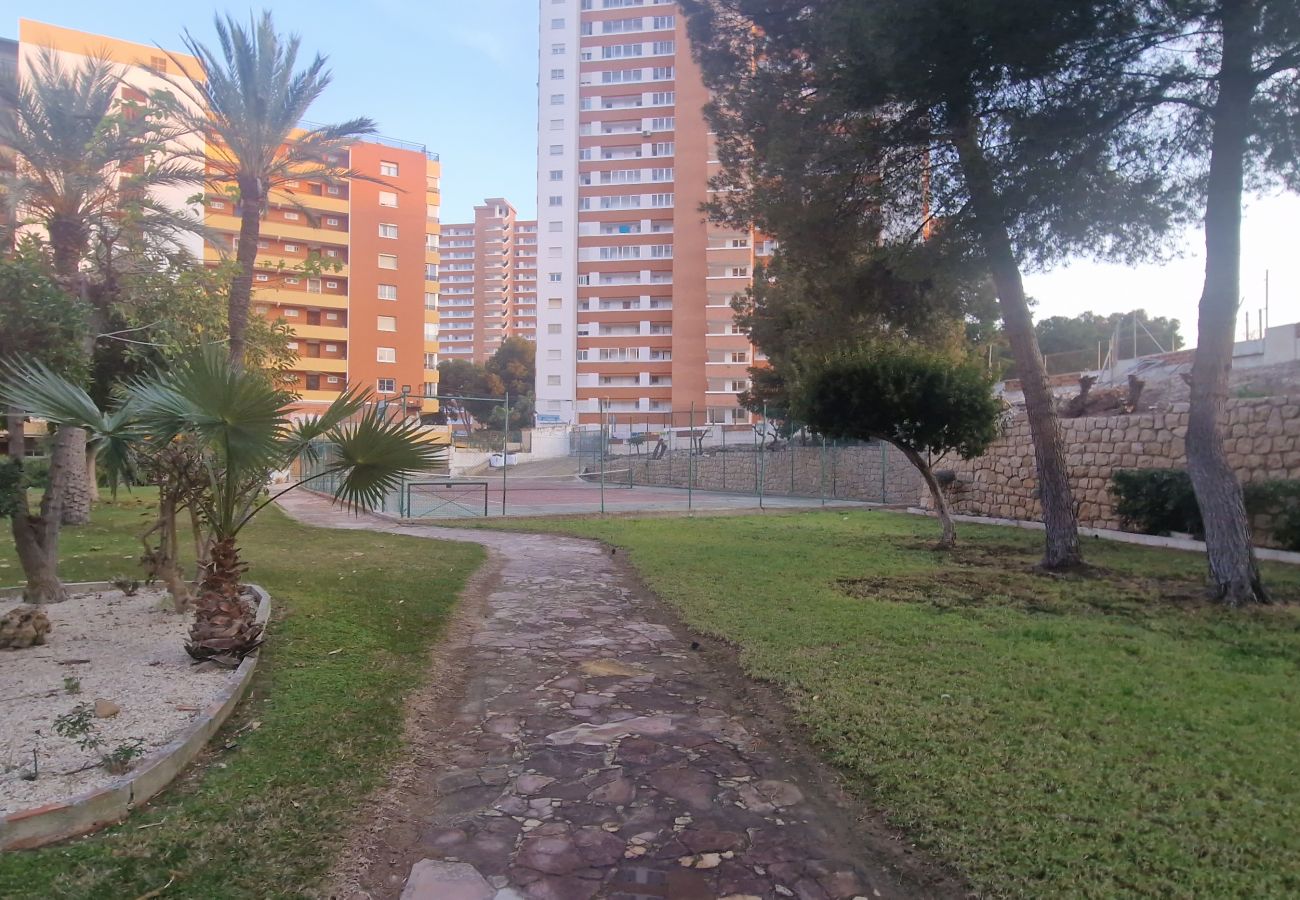 Appartement in Benidorm - TORRE SAN SEBASTIAN (1 SLAAPKAMER)