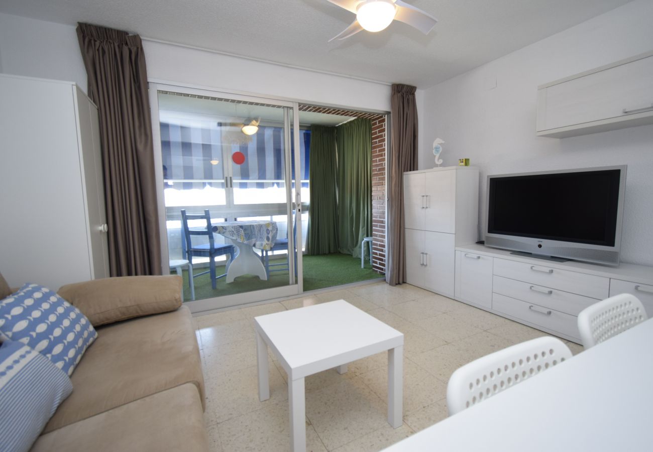 Appartement in Benidorm - TORRE SAN SEBASTIAN (1 SLAAPKAMER)