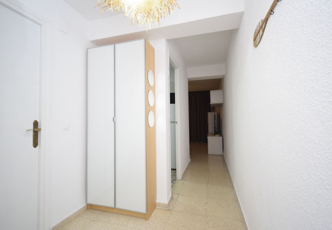 Appartement in Benidorm - TORRE SAN SEBASTIAN (1 SLAAPKAMER)