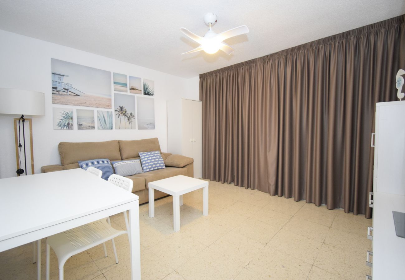 Appartement in Benidorm - TORRE SAN SEBASTIAN (1 SLAAPKAMER)