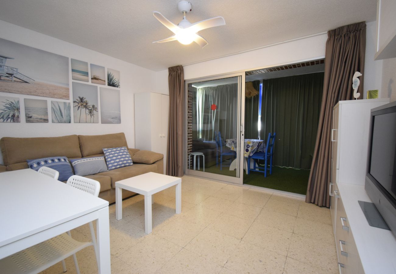 Appartement in Benidorm - TORRE SAN SEBASTIAN (1 SLAAPKAMER)