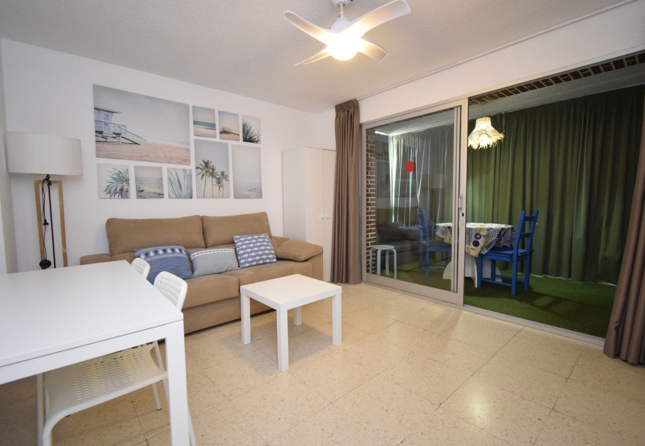 Appartement in Benidorm - TORRE SAN SEBASTIAN (1 SLAAPKAMER)