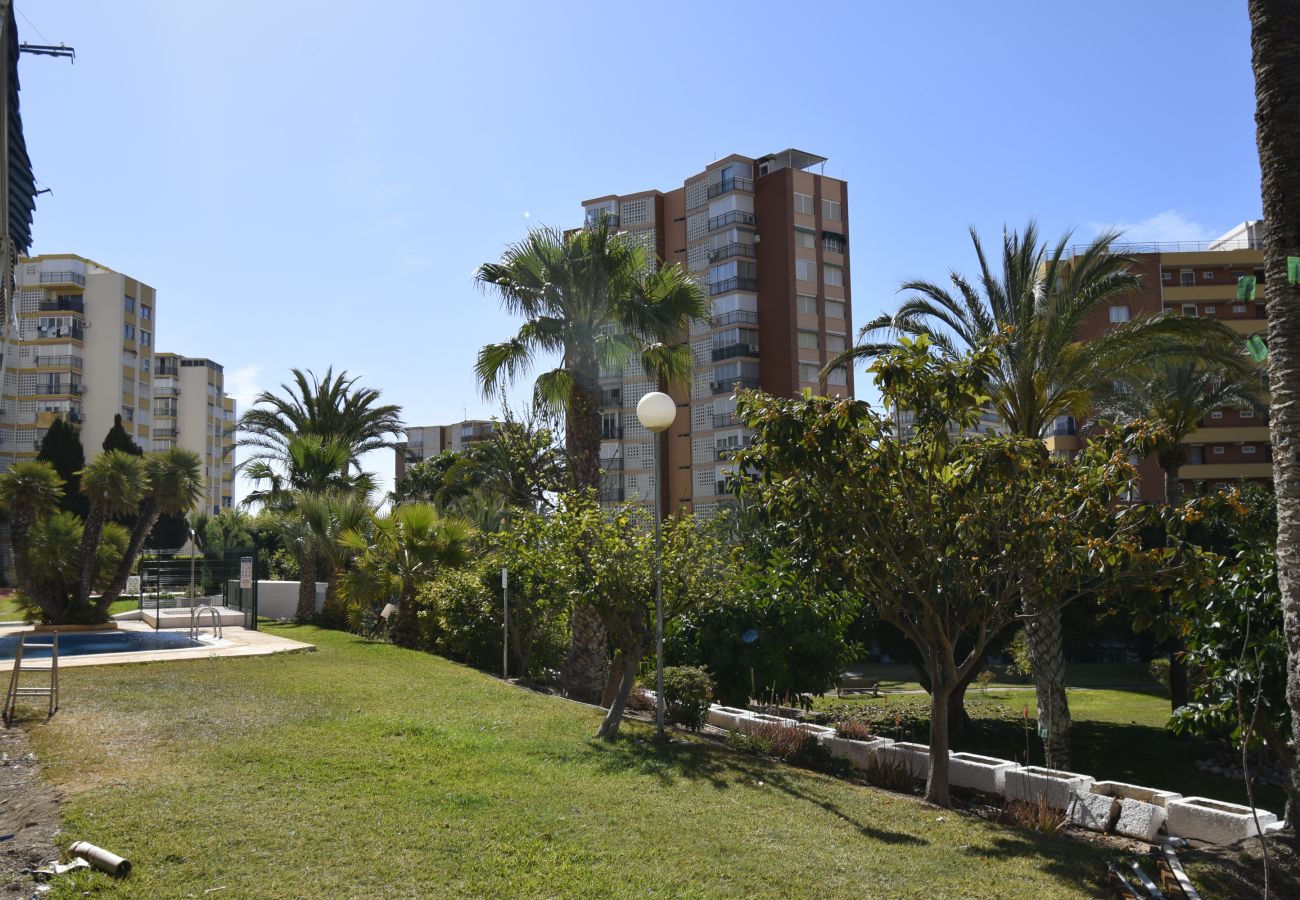 Appartement in Benidorm - TORRE SAN SEBASTIAN (1 SLAAPKAMER)