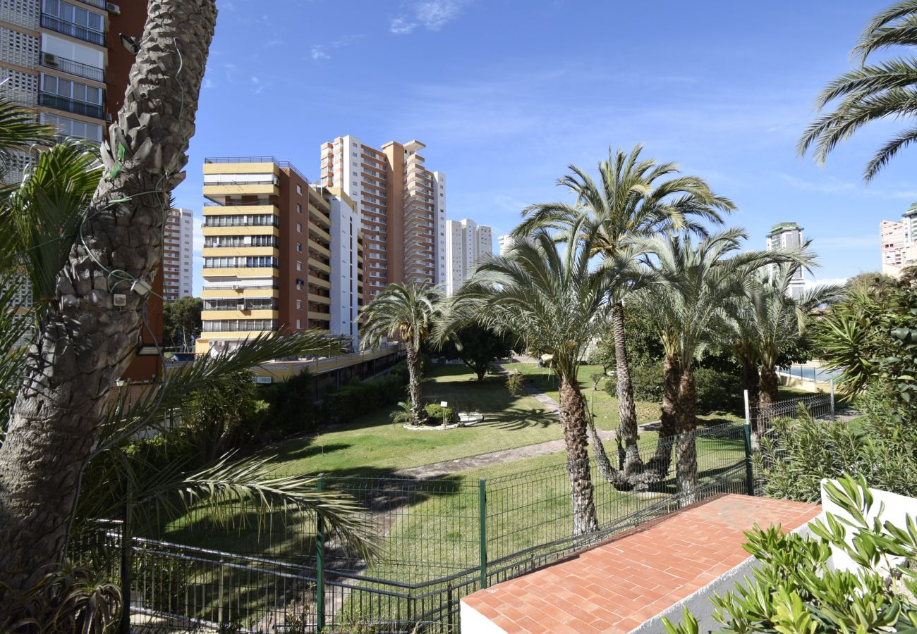 Appartement in Benidorm - TORRE SAN SEBASTIAN (1 SLAAPKAMER)