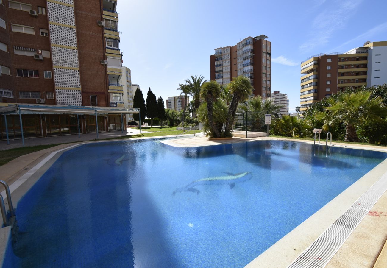 Appartement in Benidorm - TORRE SAN SEBASTIAN (1 SLAAPKAMER)