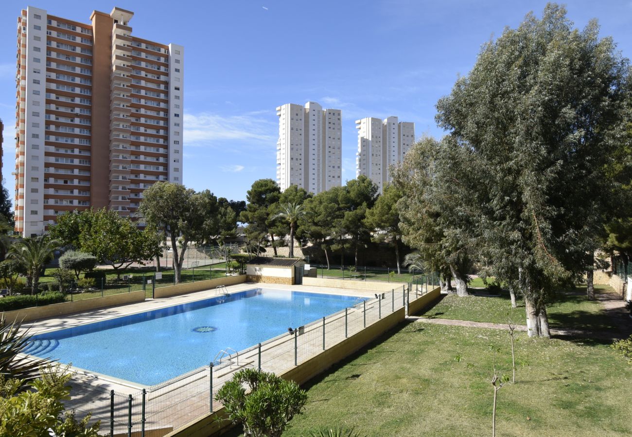 Appartement in Benidorm - TORRE SAN SEBASTIAN (1 SLAAPKAMER)