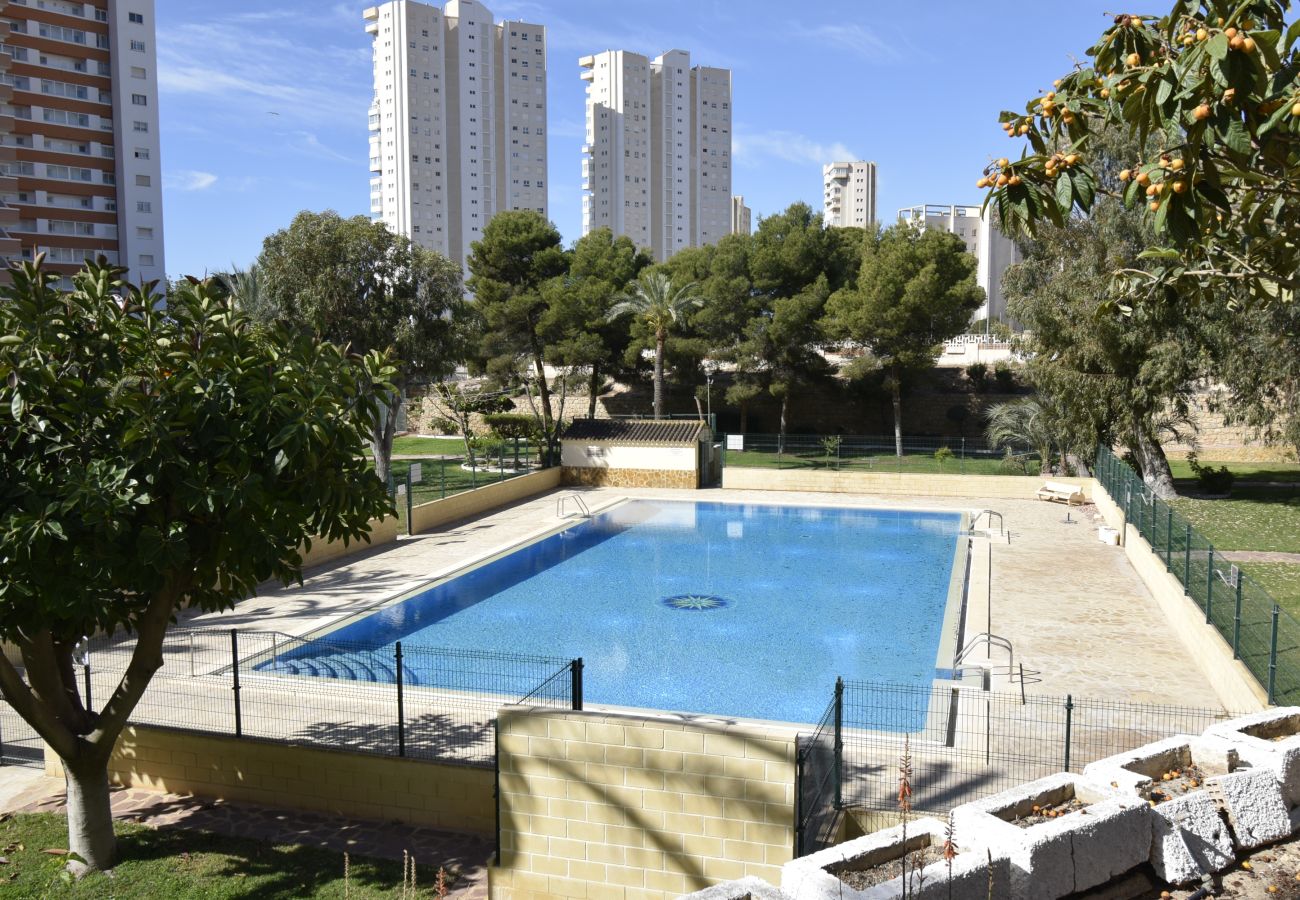 Appartement in Benidorm - TORRE SAN SEBASTIAN (1 SLAAPKAMER)