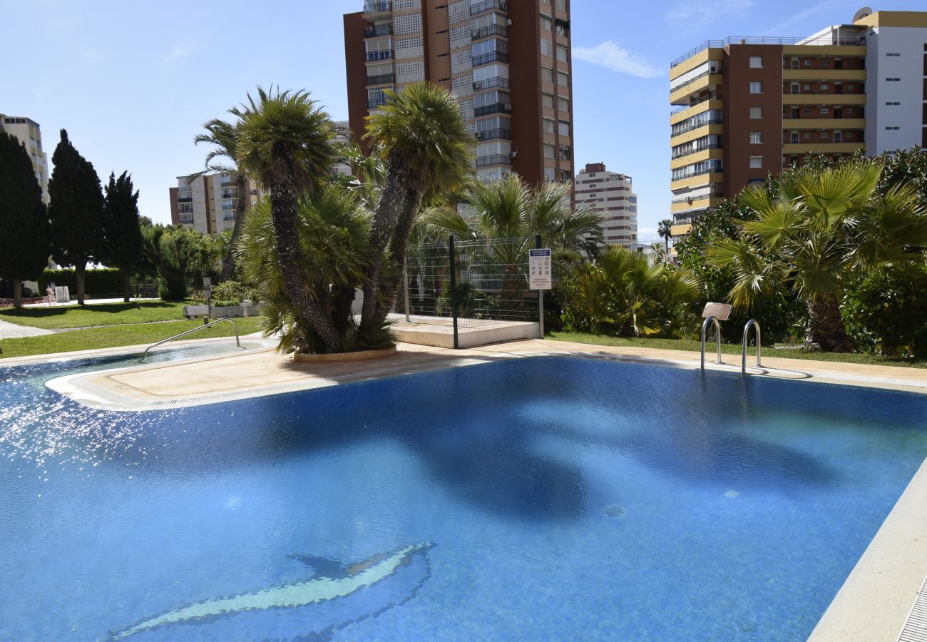 Appartement in Benidorm - TORRE SAN SEBASTIAN (1 SLAAPKAMER)