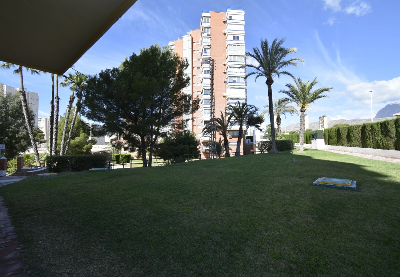 Appartement in Benidorm - TORRE SAN SEBASTIAN (1 SLAAPKAMER)