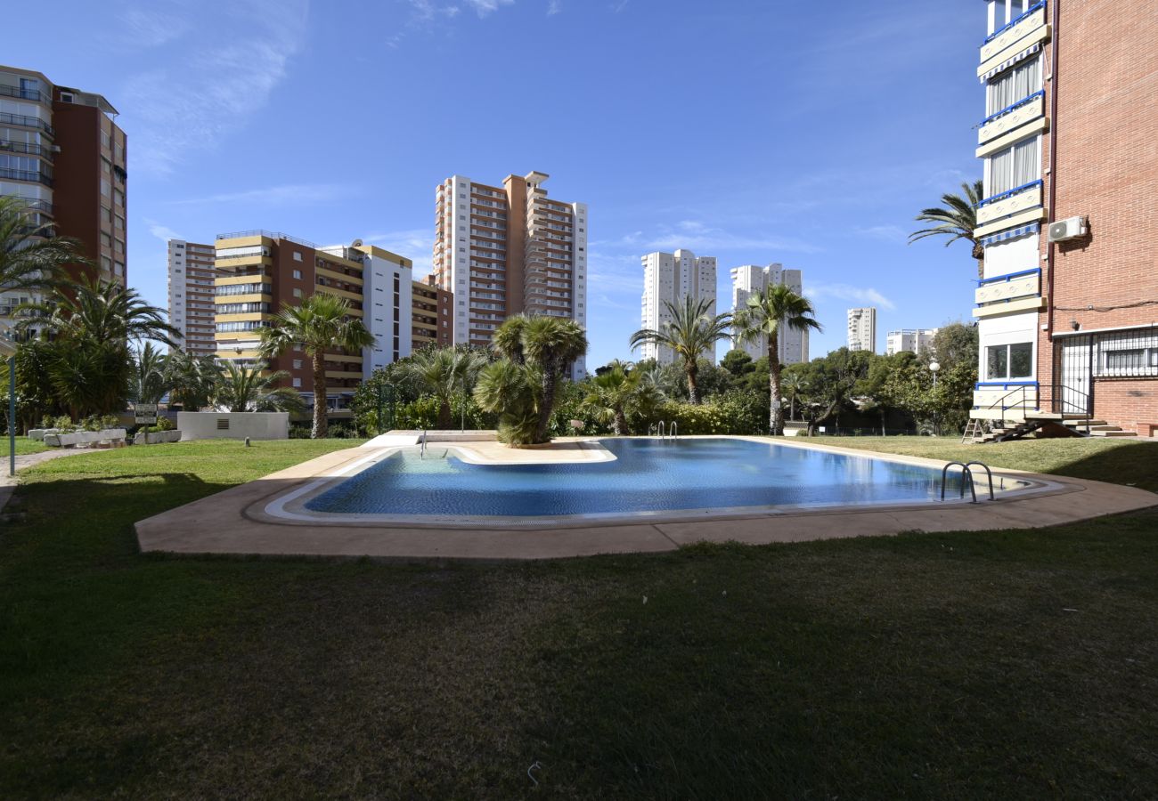 Appartement in Benidorm - TORRE SAN SEBASTIAN (1 SLAAPKAMER)