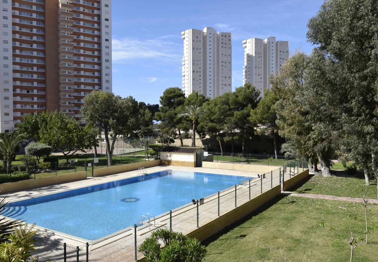 Appartement in Benidorm - TORRE SAN SEBASTIAN (1 SLAAPKAMER)