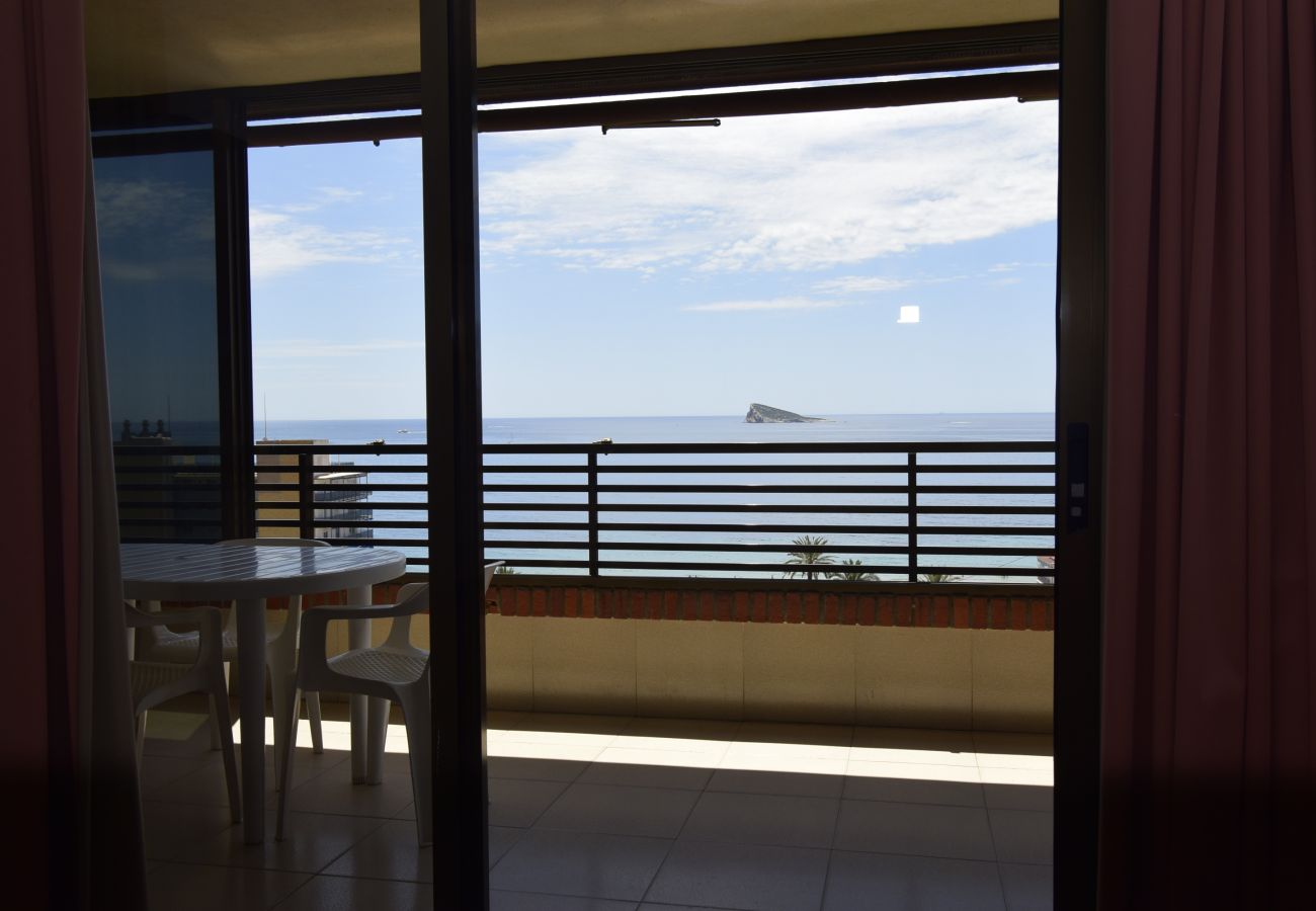 Appartement in Benidorm - CASTELMAR (1 SLAAPKAMER)