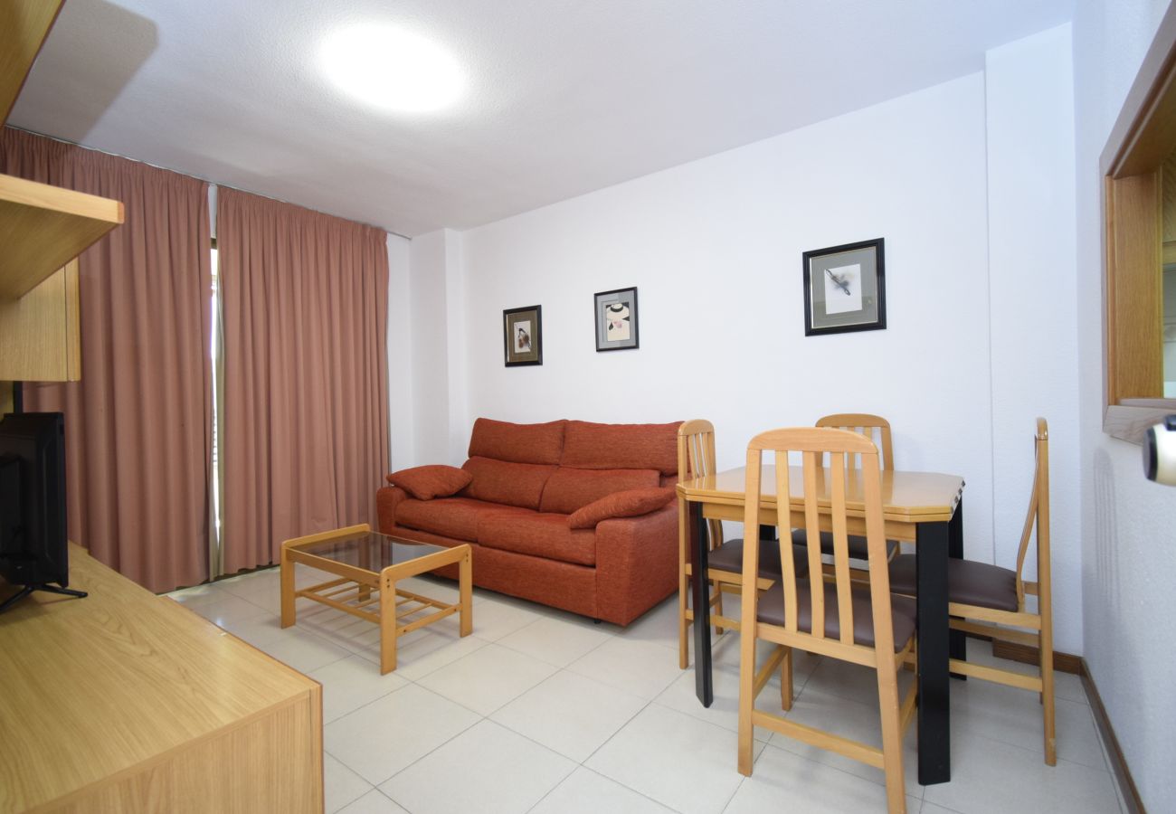 Appartement in Benidorm - CASTELMAR (1 SLAAPKAMER)