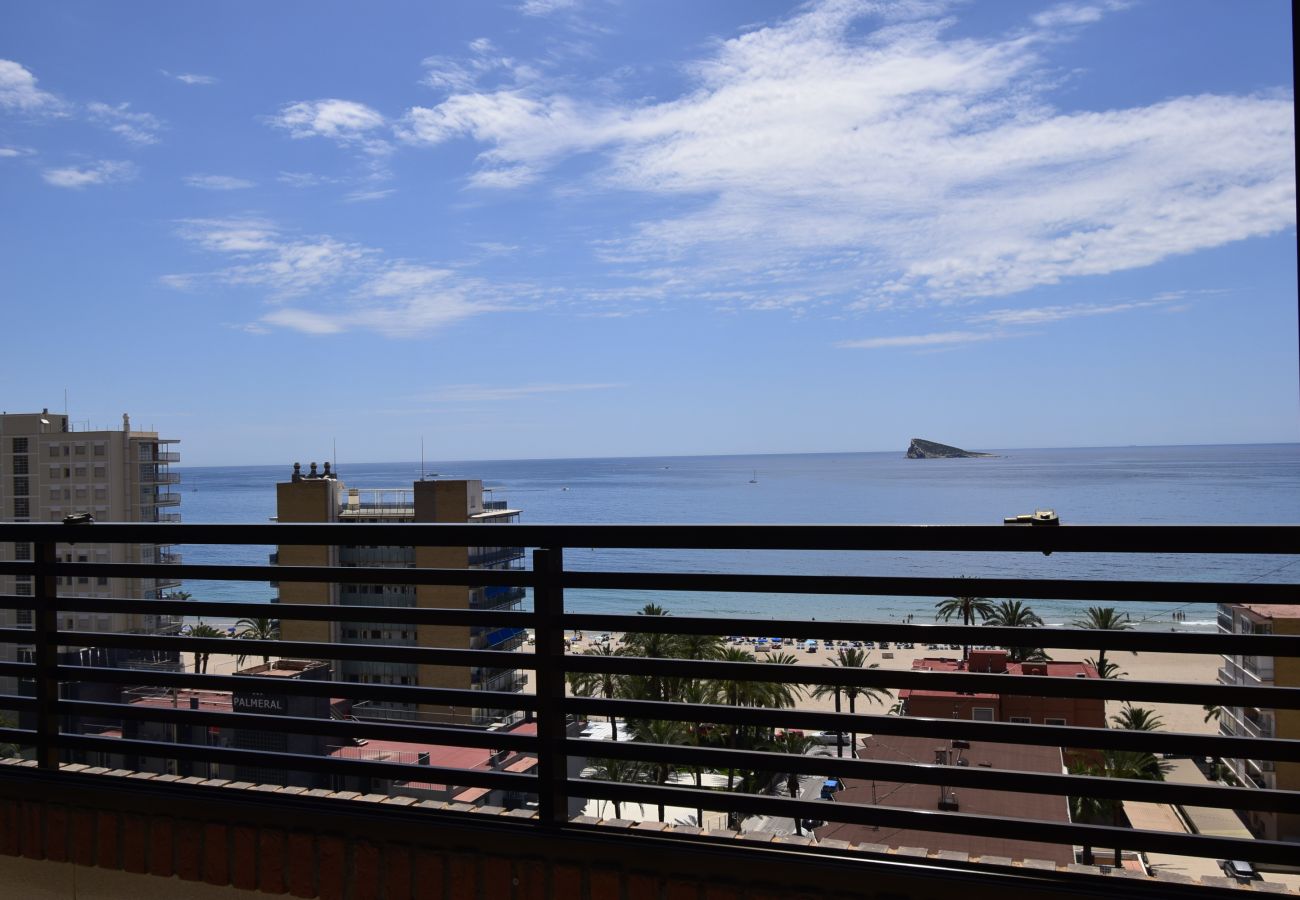 Appartement in Benidorm - CASTELMAR (1 SLAAPKAMER)