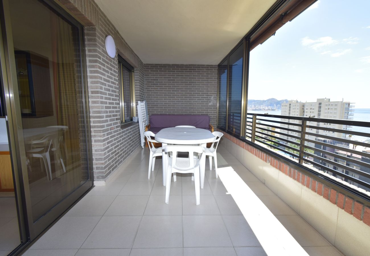 Appartement in Benidorm - CASTELMAR (1 SLAAPKAMER)