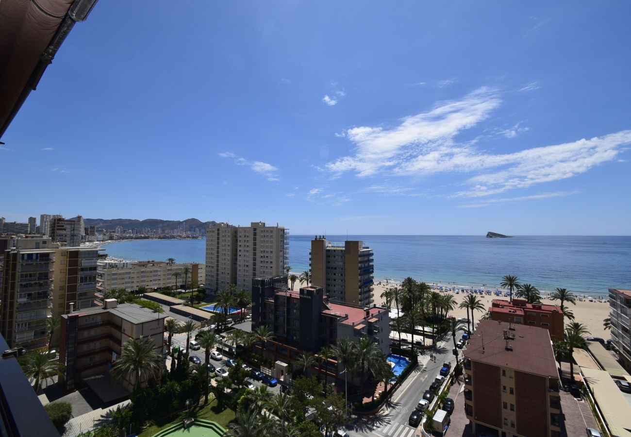 Appartement in Benidorm - CASTELMAR (1 SLAAPKAMER)