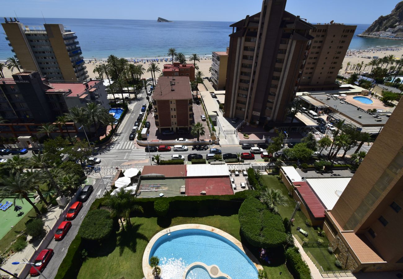 Appartement in Benidorm - CASTELMAR (1 SLAAPKAMER)