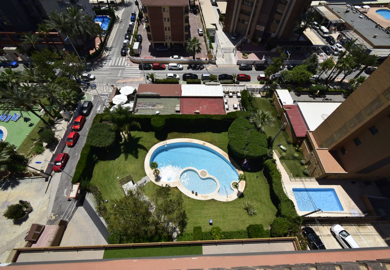 Appartement in Benidorm - CASTELMAR (1 SLAAPKAMER)