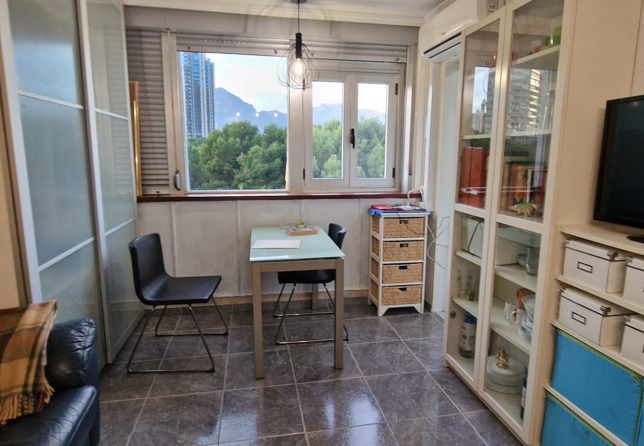 Studio in Benidorm - SERVIHOTEL (STUDIO)