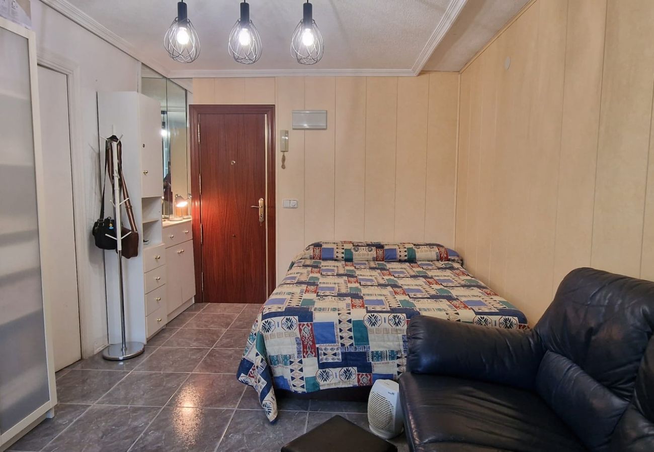 Studio in Benidorm - SERVIHOTEL (STUDIO)