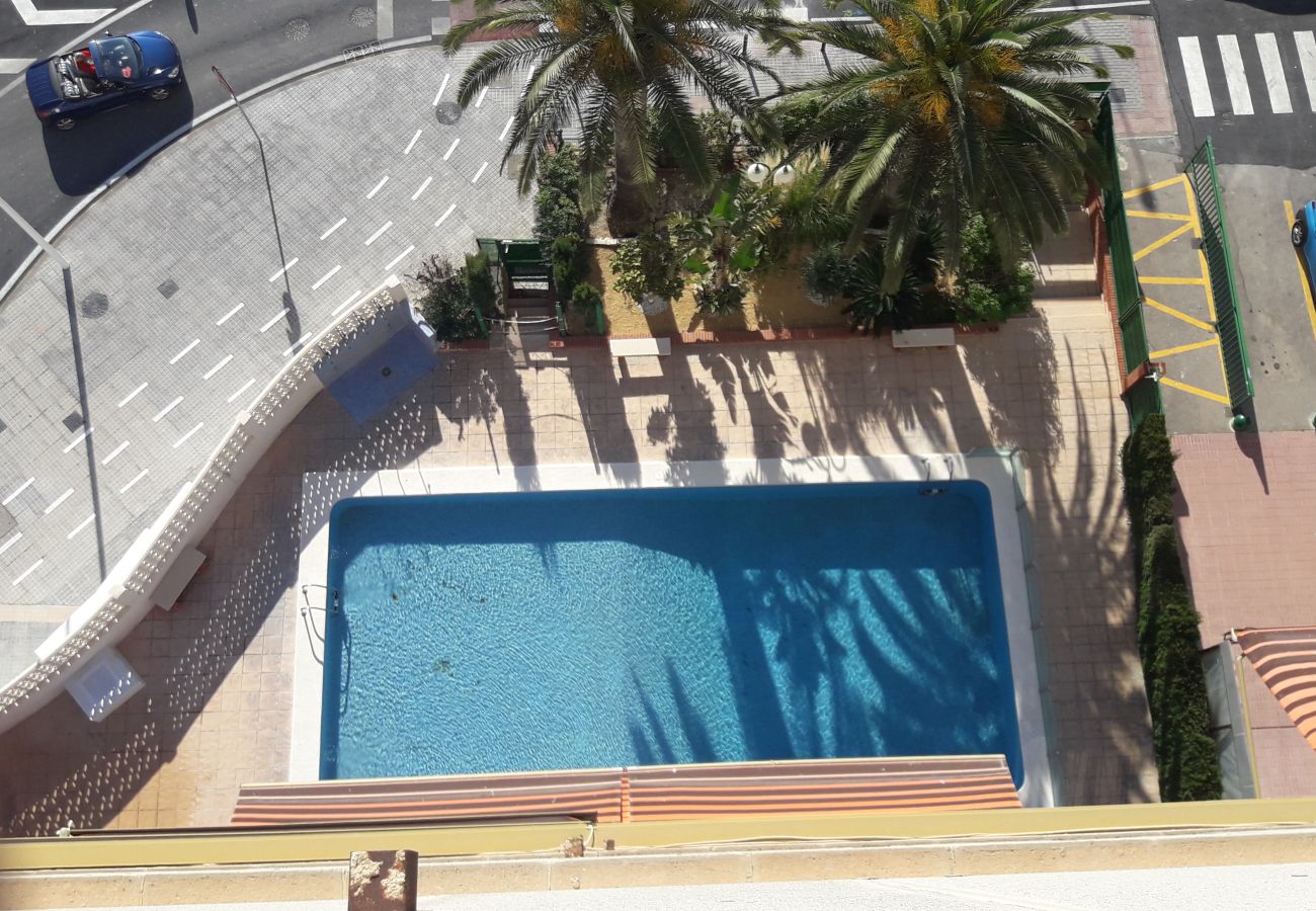 Appartement in Benidorm - PRINCIPADO MARINA (2 SLAAPKAMER)