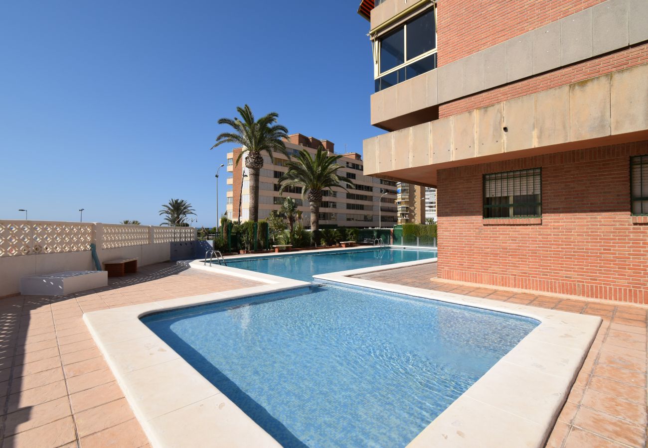 Appartement in Benidorm - PRINCIPADO MARINA (2 SLAAPKAMER)