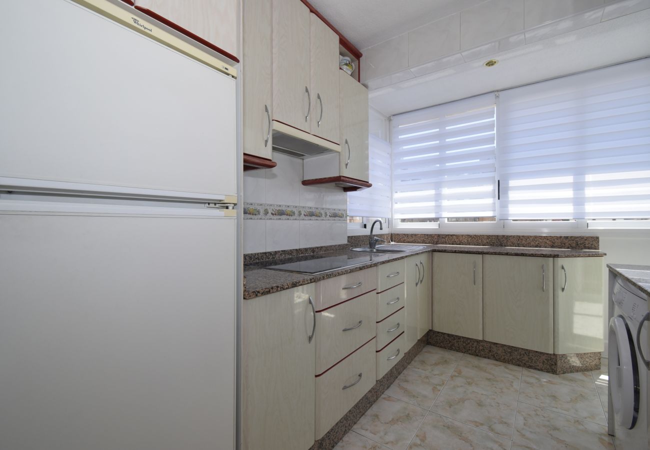 Appartement in Benidorm - ALBATROS (1 SLAAPKAMER)